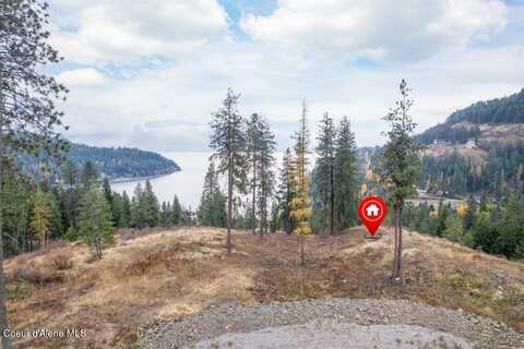 Nna Red Hawk Landing Lot 2, Sagle, ID 83860