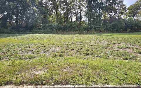 Lot 8 Collins Estate Avenue, Centerville, GA 31028