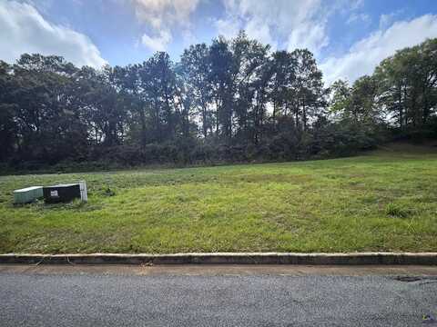 Lot 9 Collins Estate Avenue, Centerville, GA 31028