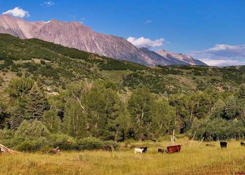 16001 Highway 133, Somerset, CO 81434