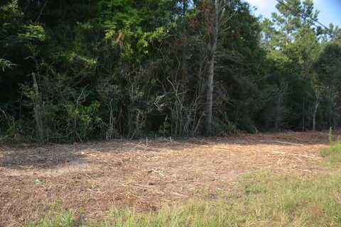 22877 Highway 84, Elba, AL 36323