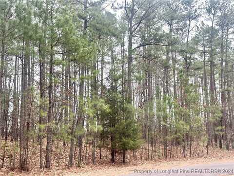 139 Boulder Drive, West End, NC 27376