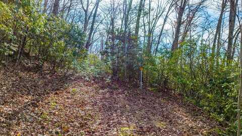 Bradley Creek Rd, Franklin, NC 28734