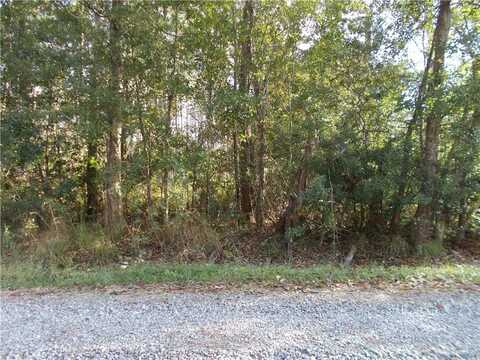 0 Michigan Avenue, Coden, AL 36523