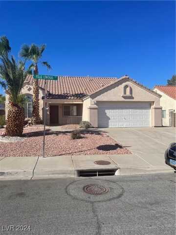 541 Feliz Contado Court, Henderson, NV 89015