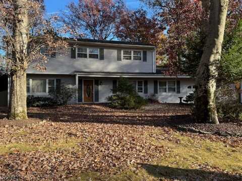 11 Camelot Way, Whippany, NJ 07054