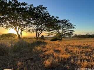 64-486 Kamehameha Highway, Haleiwa, HI 96712