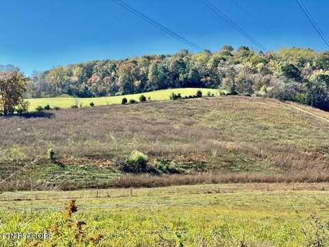 Buffalo Springs Rd, Rutledge, TN 37861