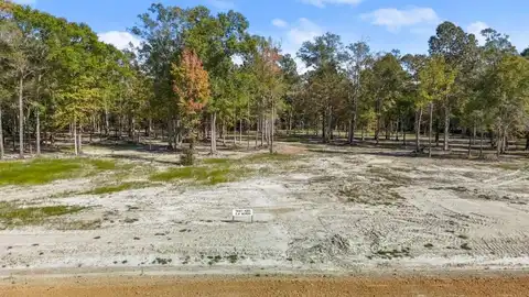 N2D# Little Azalea Drive, Zachary, LA 70791