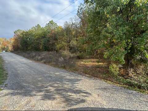 Lot 3 Robbies Lane Lane, Decatur, TN 37322