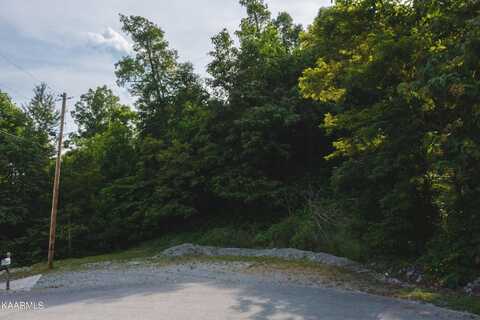 Lot 655 Chimney Rock Road, New Tazewell, TN 37825