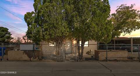 1030 N Manzanita Street, Las Cruces, NM 88001