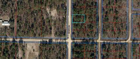 0 NE 150TH AVENUE, WILLISTON, FL 32696