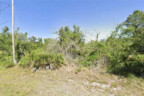 1543 MEADOWBROOK STREET, LAKE PLACID, FL 33852