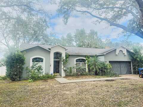 2502 BUCKHORN TRACE COURT, VALRICO, FL 33594