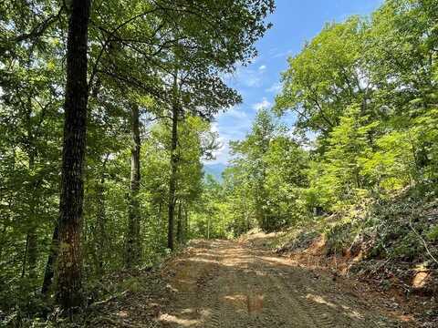 0 Upper Bell Creek Road, HAYESVILLE, NC 28904