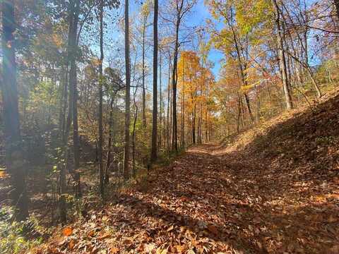 0 Upper Bell Creek Road, HAYESVILLE, NC 28904