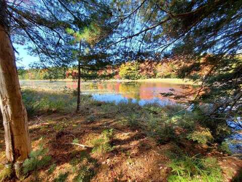 0 Clifford Lake Road, Greenlaw Chopping Twp, ME 04668