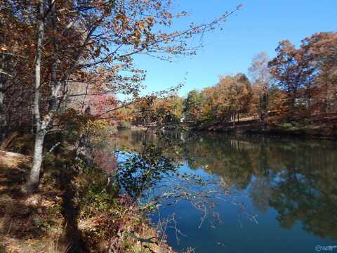 Lot 78 County Road 839, Mentone, AL 35984