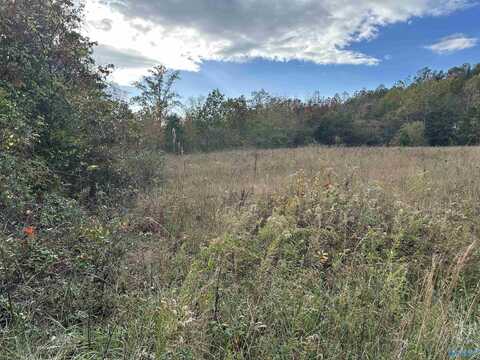 2.50 Ac County Road 681, Flat Rock, AL 35966