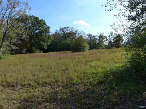 N Side Of Lot 2 2nd Avenue SW, Arab, AL 35016