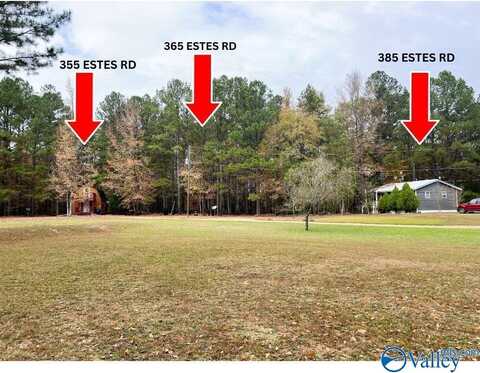 385,355,365 Estes Road, Piedmont, AL 36272