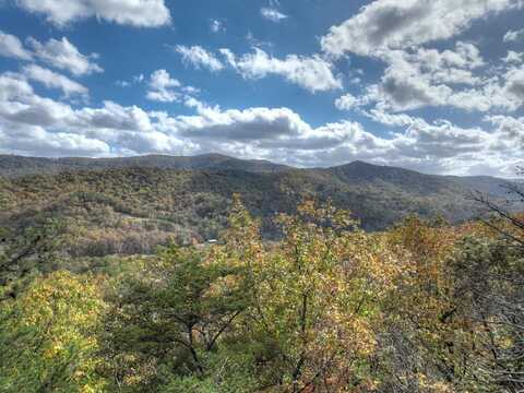 23.26 Ac Weaver Creek Road, Blue Ridge, GA 30513