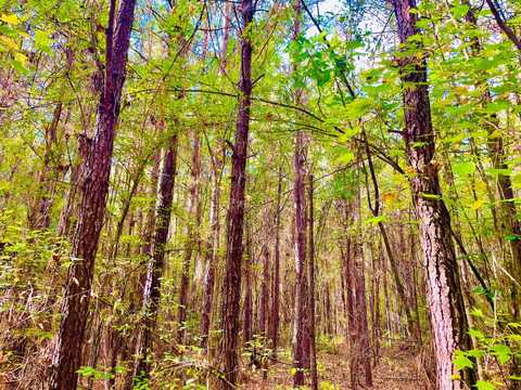 13850 Tallahatta Springs Road, Thomasville, Alabama, AL 36784