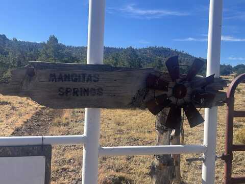 000 Forest Road 19, Mangitas Springs, NM 88061