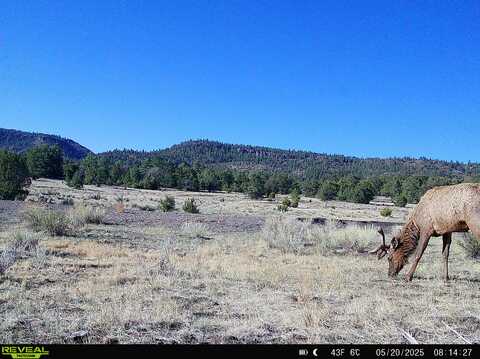 000 Forest Road 19, Quemado, NM 88061