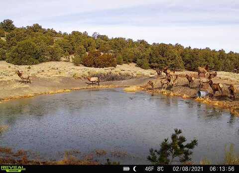 000 Forest Road 19, Quemado, NM 88061