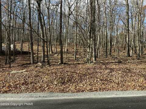 229 Forest Ridge Drive, Hawley, PA 18428