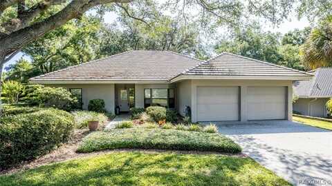 3035 W Bermuda Dunes Drive, Lecanto, FL 34461