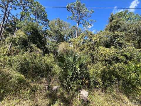 3745 E Walker Street, Inverness, FL 34453