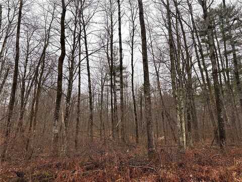 Lot 2 McGilligan Road, Hayward, WI 54843