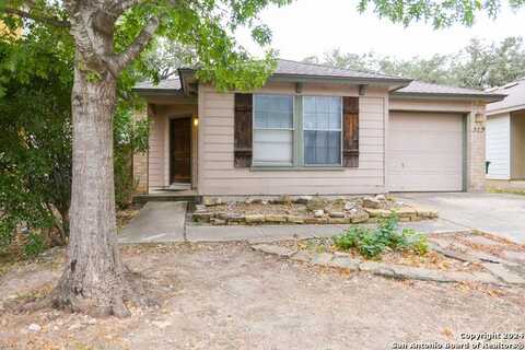 319 AMBERDALE OAK, San Antonio, TX 78249