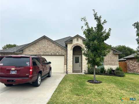 1143 Lilac Ledge Drive, Temple, TX 76502