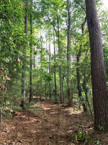 Lot 1 Chatawa Rd, Magnolia, MS 39652