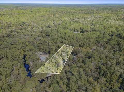 Lot 15 Fonigan Road, Sopchoppy, FL 32358