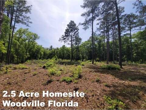 Tract E Lutterloh Road, Woodville, FL 32305