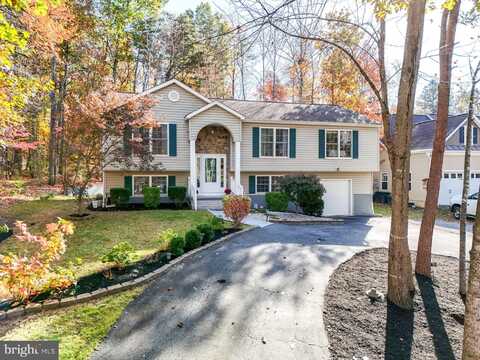 1317 LAKEVIEW PARKWAY, LOCUST GROVE, VA 22508