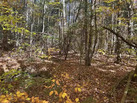 35 acres W Fed Forest Hwy 2253 & Fetton, Manistique, MI 49854