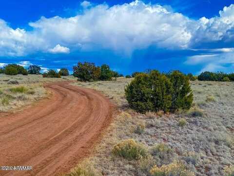 Tbd Hyde Park Rd 9.92 Acres, Seligman, AZ 86337