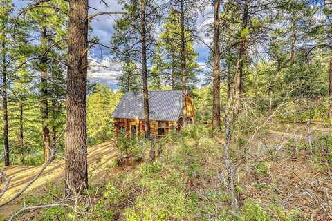 Starlight, PAGOSA SPRINGS, CO 81147