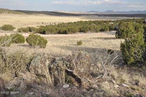 County Road 8627, CONCHO, AZ 85924