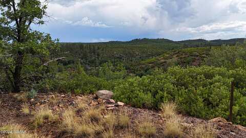 Geronimo, SHOW LOW, AZ 85901