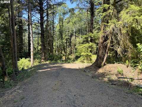 Fiddle Back Rd, North Bend, OR 97459