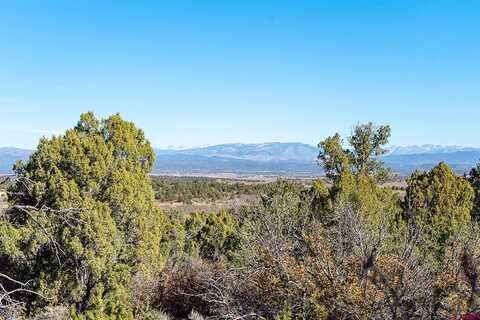 Summer View Lane, Ignacio, CO 81137