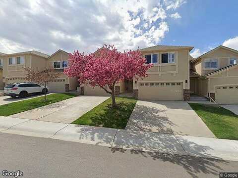 Chokecherry, FORT COLLINS, CO 80526