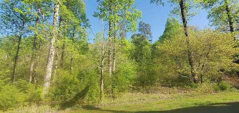 Lot 258 Pine Loop Dr, Madisonville, TN 37354